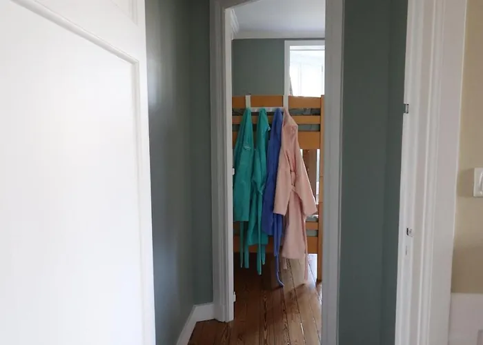 L'orénoque Duplex En Forêt